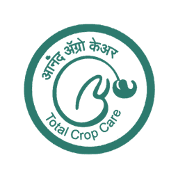 Logo 7